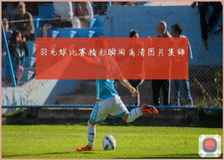 羽毛球比赛精彩瞬间高清图片集锦